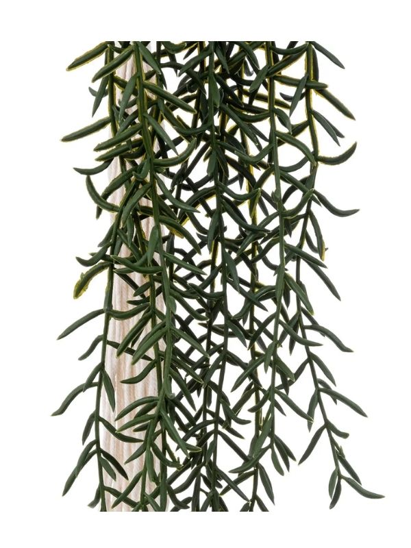 Déco Ali Pianta Artificiale Con Vasetto Intrecciato Da Appendere 90Cm