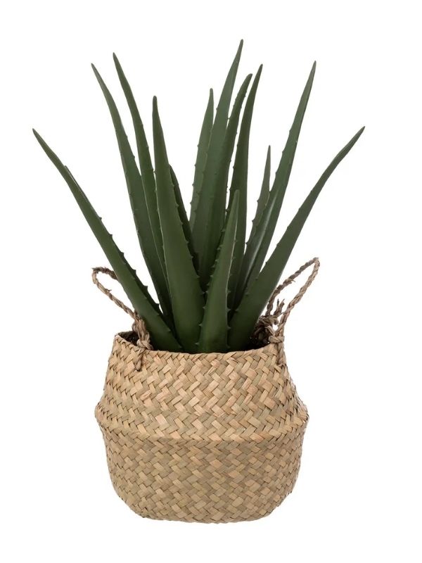 Déco Aloe Vera Artificiel Avec Pot En Corde 40Cm