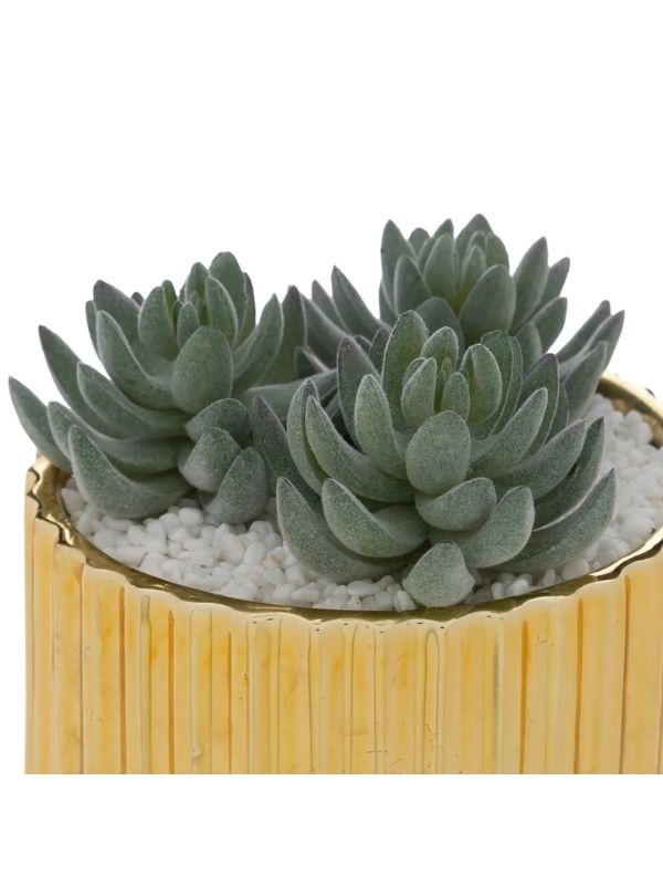 Déco The Collector Vaso Dorato In Ceramica Con Pianta Artificiale 14Cm