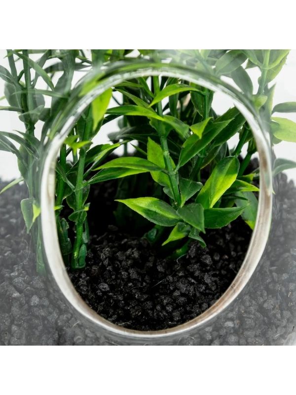 Déco Mini Hängendes Glas Family Künstliches Terrarium 15Cm