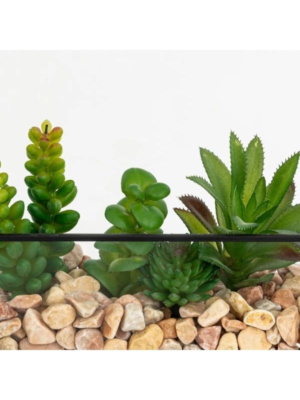Déco Pia Künstliches Terrarium Aus Glas Und Schwarzem Metall 20Cm