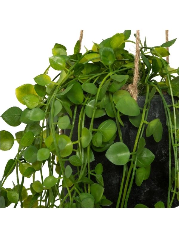 Déco Living Plante Artificielle Avec Pot Suspendu 10.5Cm