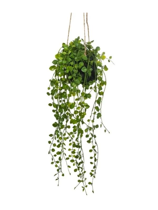 Déco Living Plante Artificielle Avec Pot Suspendu 10.5Cm