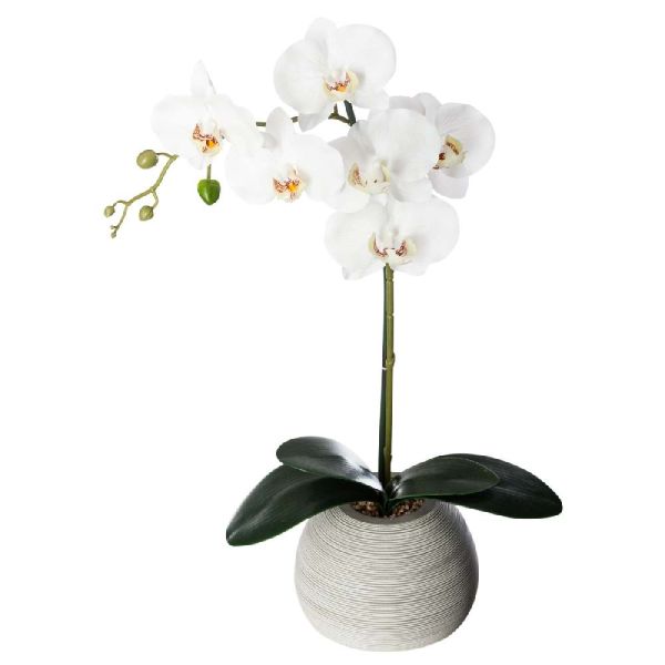 Orchidea Artificiale In Vaso 50Cm