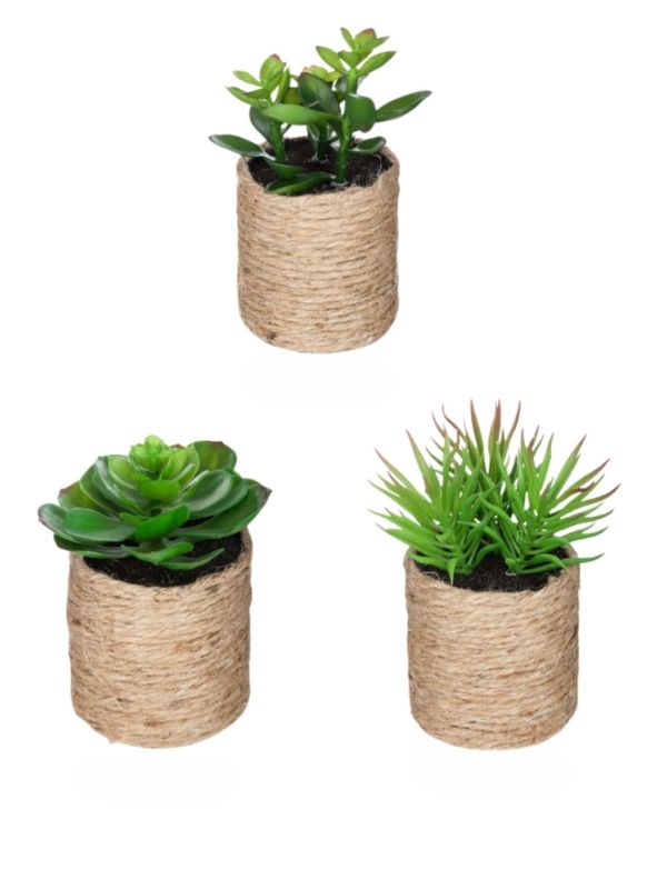 Faux Deco Pflanze Mit Seiltopf 10Cm - Sortiert