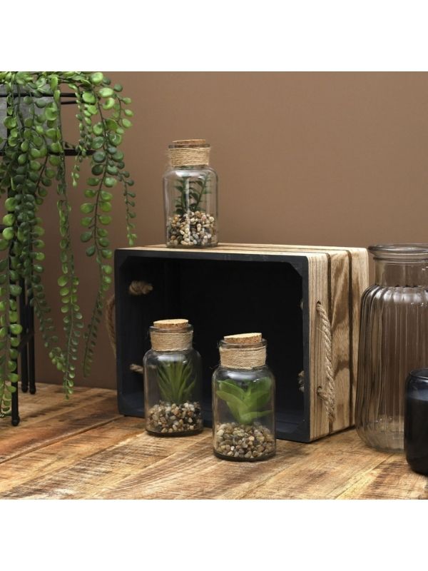 Déco Mini-Glas-Kunstterrarium 13Cm - Sortiert