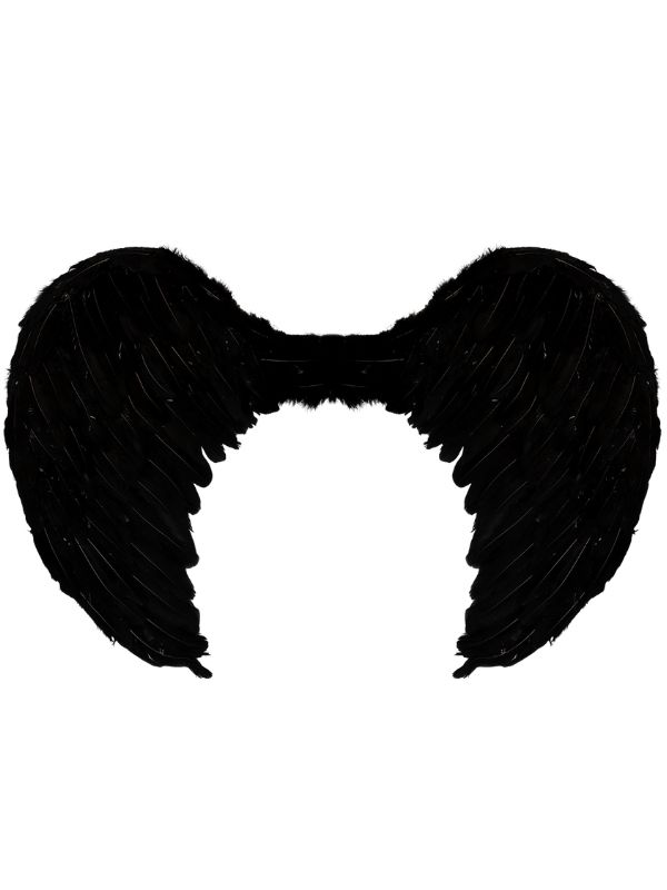 Accessorio Di Halloween Ali D'Angelo Con Piume Nere 50X77Cm
