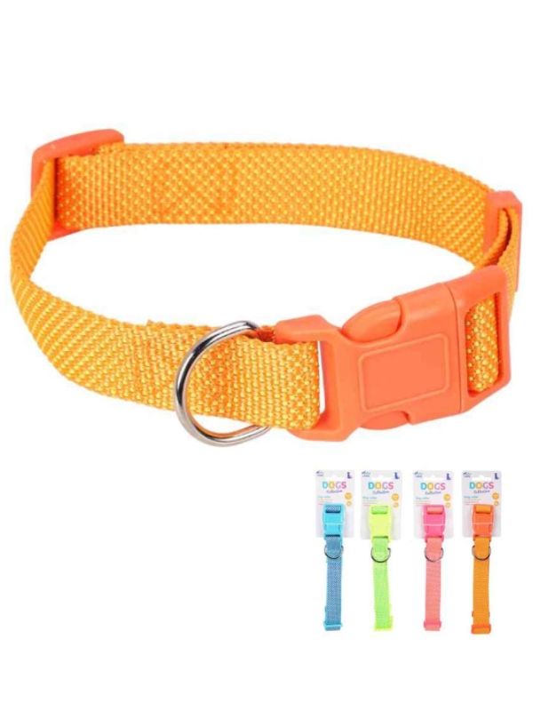 Accessorio Per Animali Collare Cani - Assortito