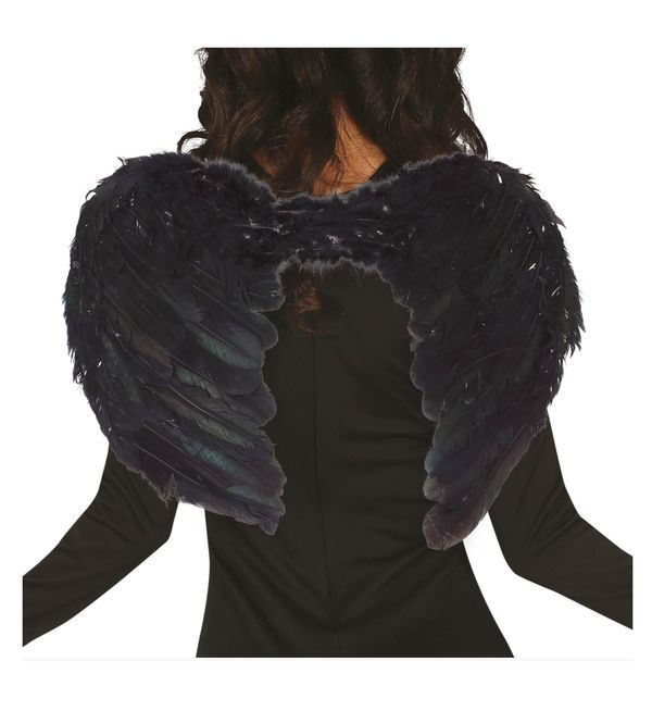 Accessorio Halloween Ali Nere  60X40Cm