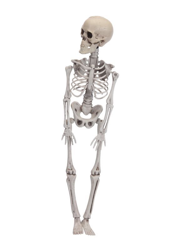 Déco Halloween Scheletro 42Cm