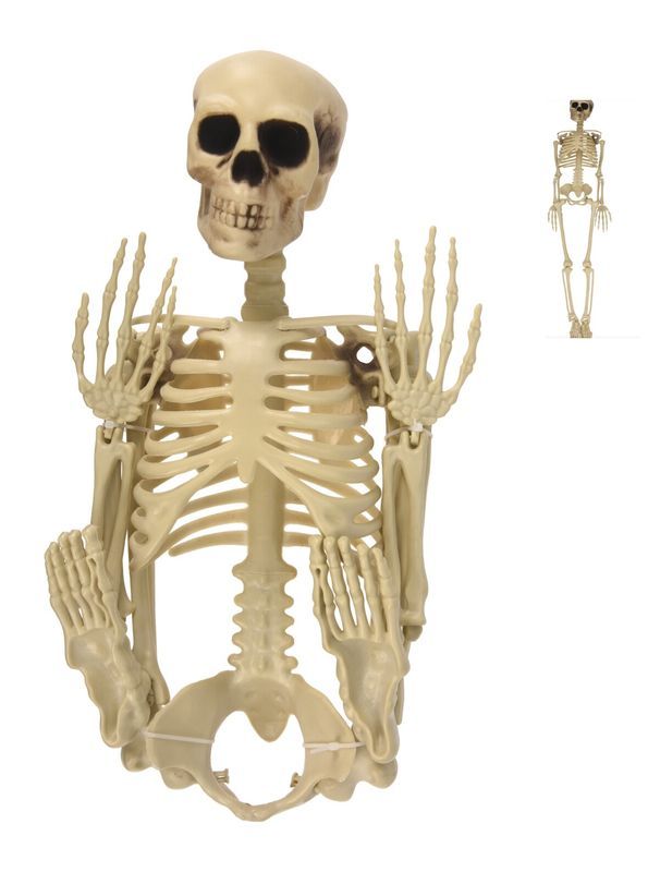 Déco Halloween Scheletro 22X90Cm