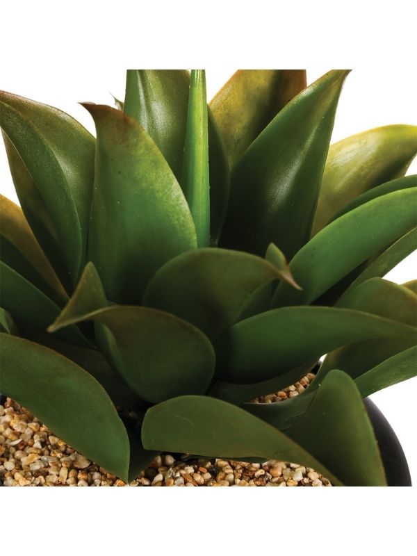 Pianta Artificiale Déco Aloe Vera Con Vaso In Ceramica 31Cm
