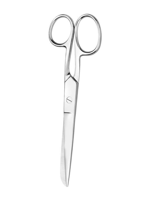 Stahlschere 17Cm 