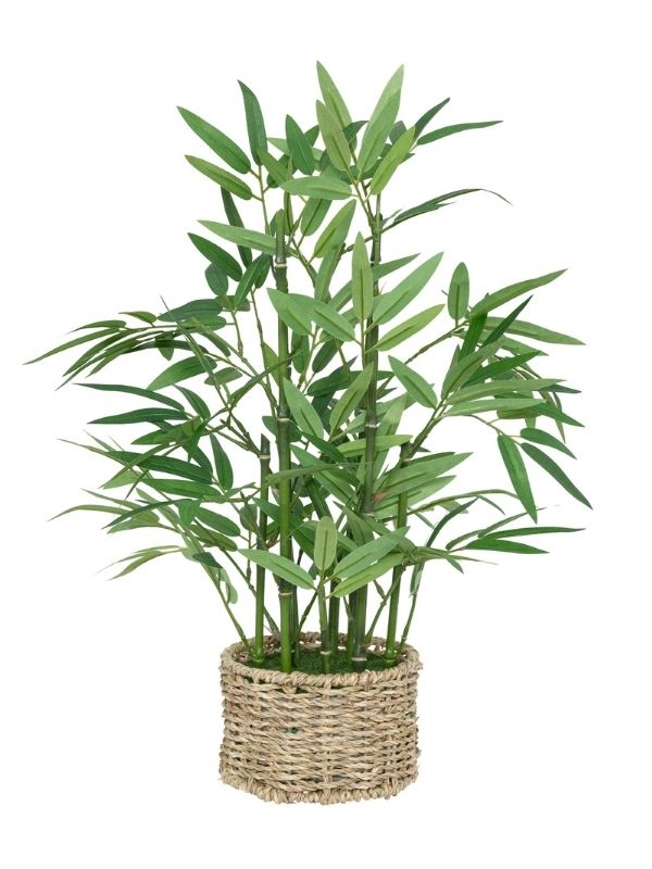 Pianta Artificiale Déco Bambù Ly Con Vaso Naturale 46Cm