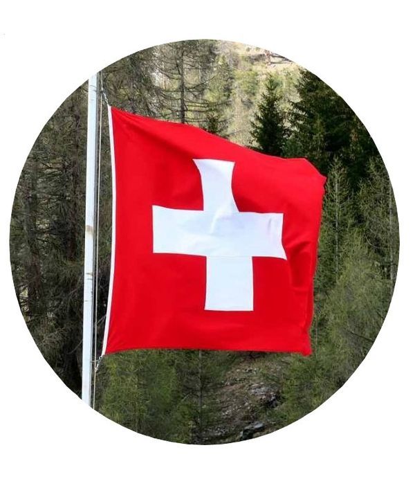 Flagge Der Schweiz Hängend 50X50Cm