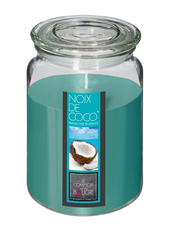 Candela Profumata Con Vaso In Vetro Nina Cocco 510G