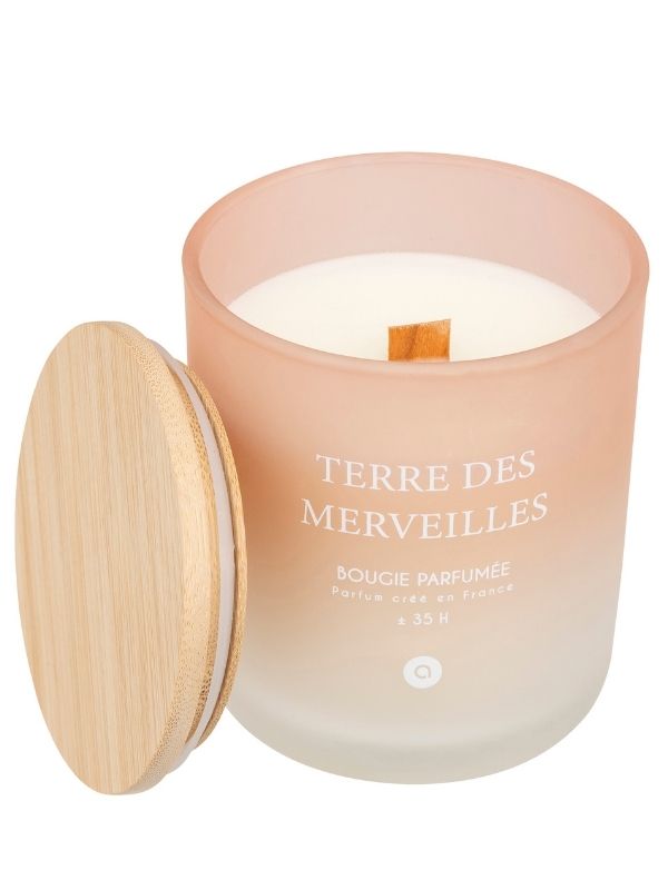 Bougie Parfumée En Pot Sana Terre De Merveilles 255G