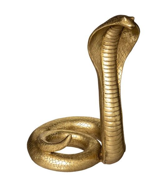 Déco Cobra Dorato 37Cm
