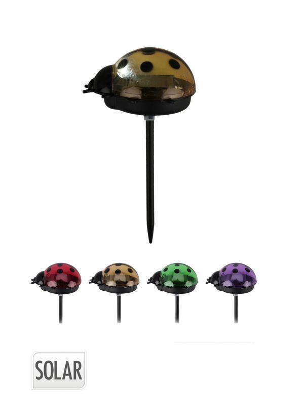 Coccinella Luce Solare 14cm - Assortito