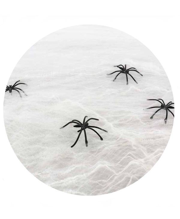Accessorio Di Halloween Ragnatela Bianca Con 4 Ragni 50G