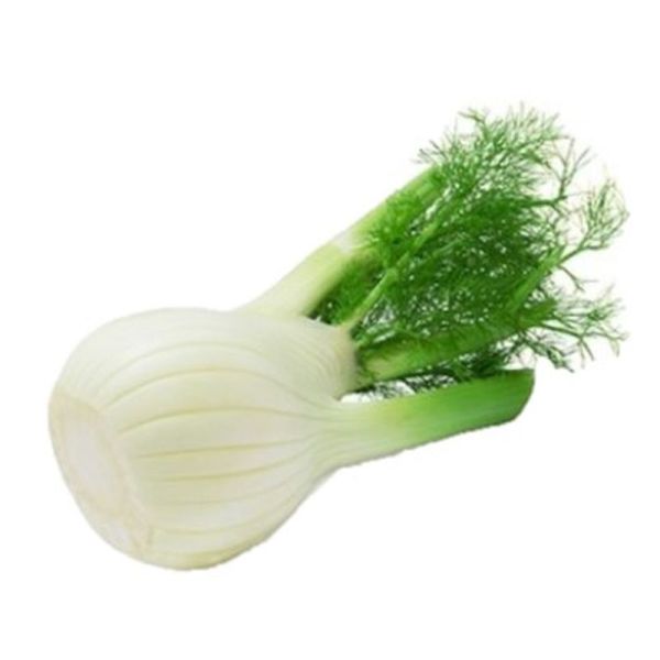 LE REGIONALI Samen Von Römischer Fenchel