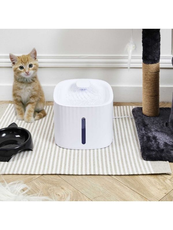  Fontanella Für Katzen 