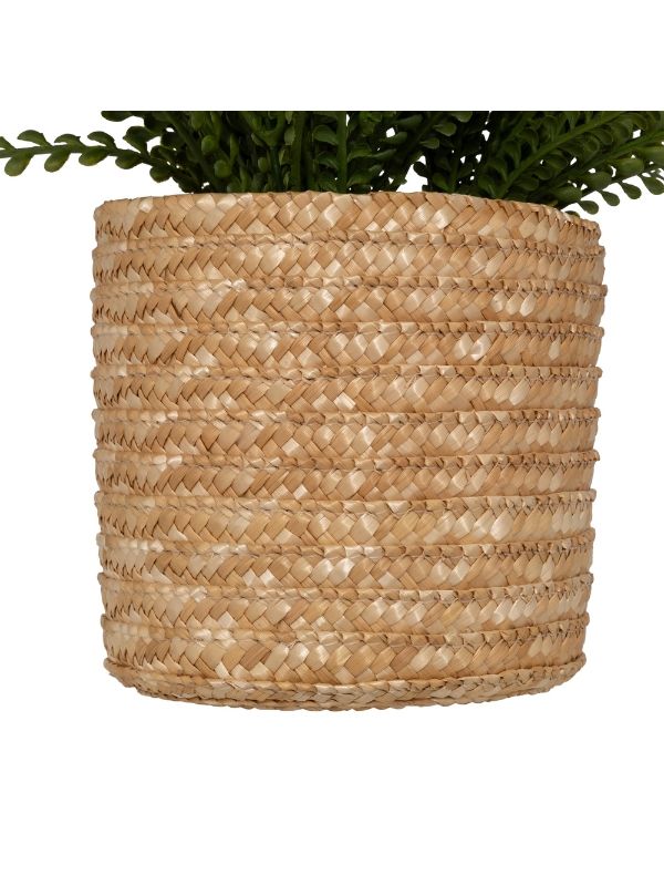 Fougère Clemy Alta Con Vaso Fibre Naturali 45x30x45cm