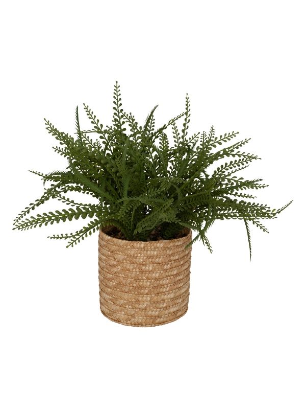 Fougère Clemy Alta Con Vaso Fibre Naturali 45x30x45cm