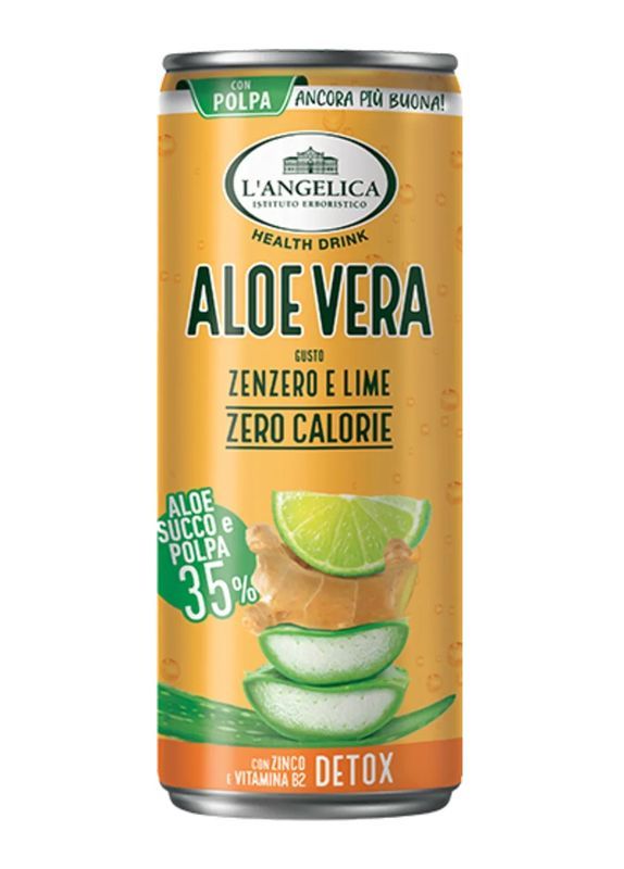 L'ANGELICA Tisane Froide Aloès, Gingembre Et Limette 240Ml 