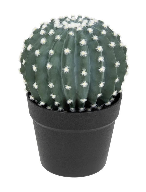 Cactus Artificiale Con Vaso In Plastica 25Cm