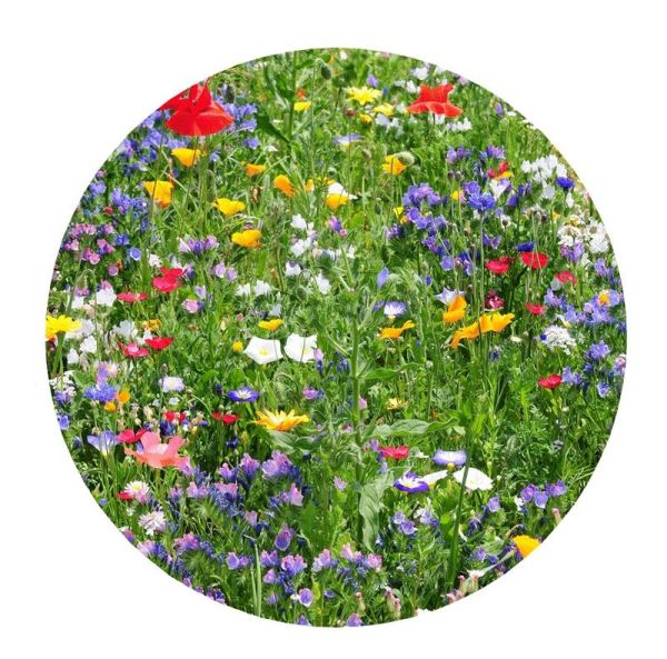 HORTUS Samen Von Mischung Für Bienen