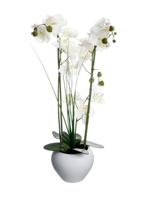 Pianta Artificiale Déco Orchidea Con Vaso In Ceramica Bianco 53Cm
