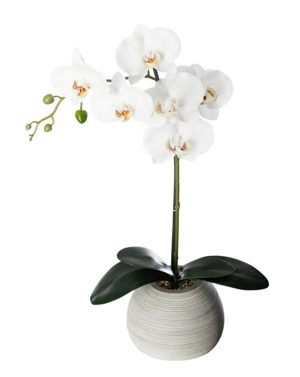 Orchidea Artificiale In Vaso 50Cm