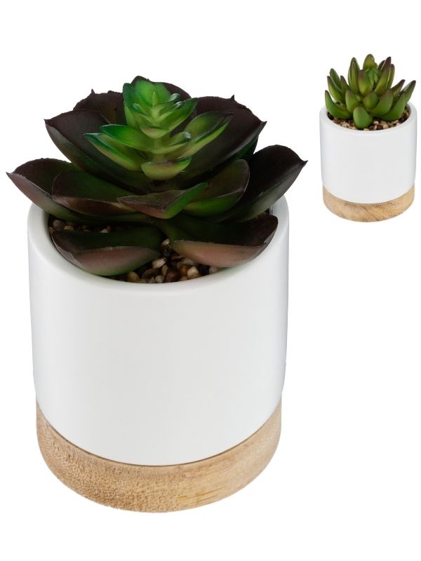 Pianta Artificiale Déco Pianta Grassa Con Vaso In Ceramica E Legno 12Cm - Assortito
