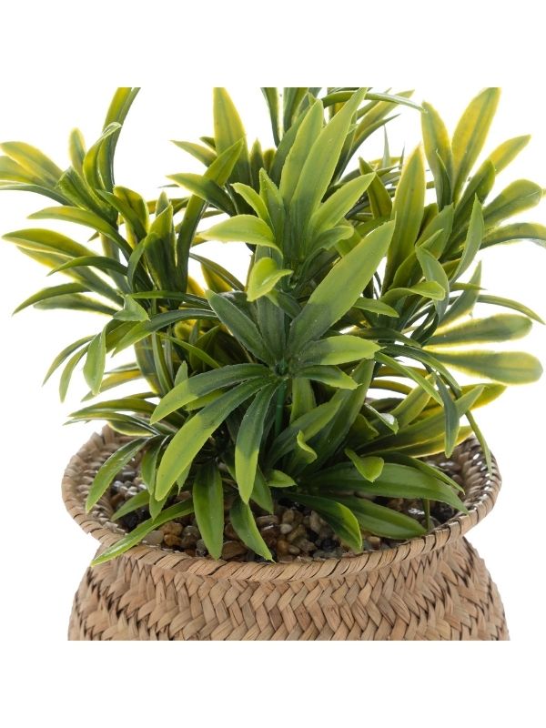Plante Artificielle Deco Jiling Avec Vase Naturel 20Cm