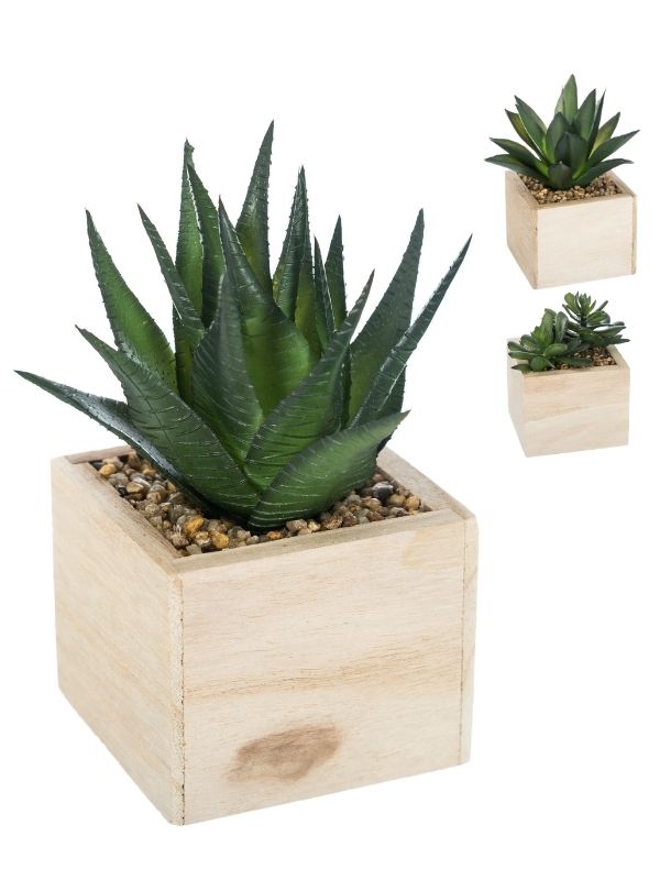 Pianta Artificiale Déco Chic Con Vaso In Legno 14Cm - Assortito