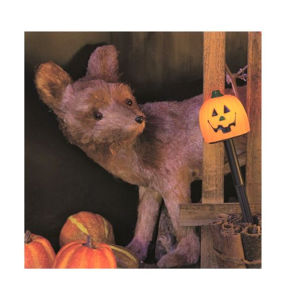 Bastoncino Da Giardino Con Zucca Di Halloween E Luce LED Bianca Calda 