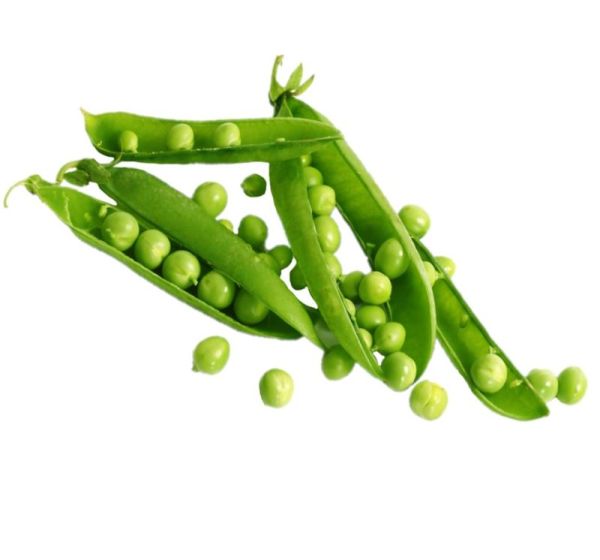 VITA SANA Semences De Pois Rondo