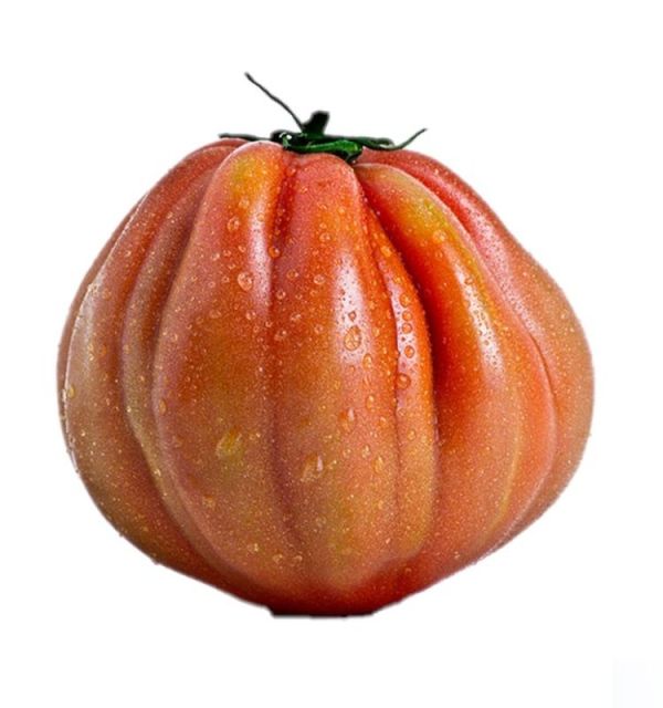 VITA SANA Semi Di Pomodoro Cuor Di Bue