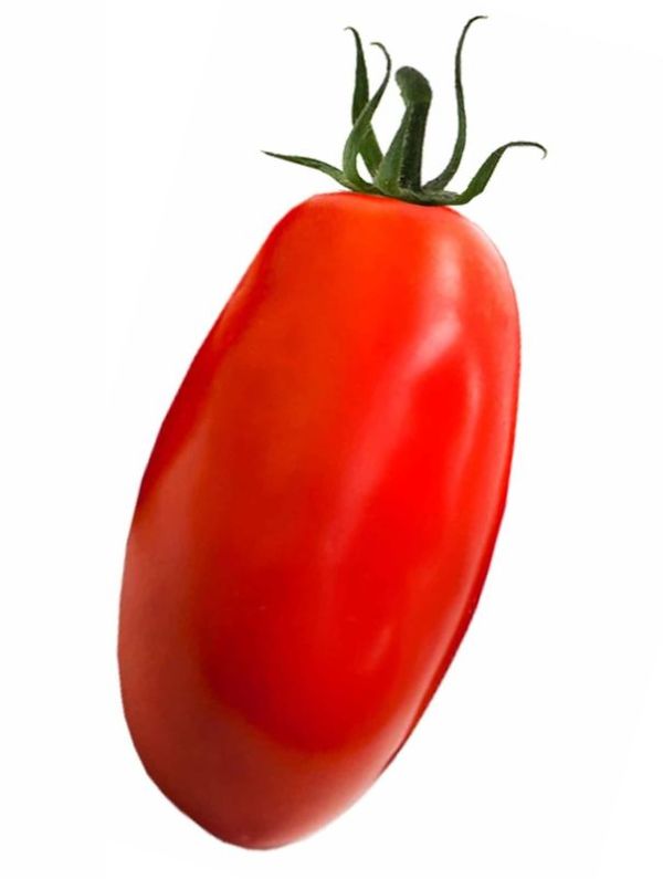 VITA SANA Semences De Tomate Longue S. Marzano