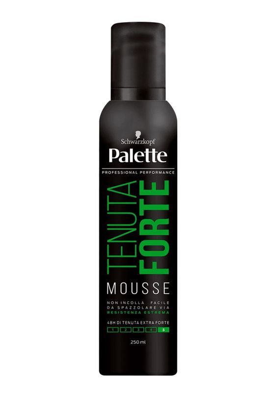 PALETTE Produit De Styling Pour Cheveux Mousse À Tenue Forte 250Ml