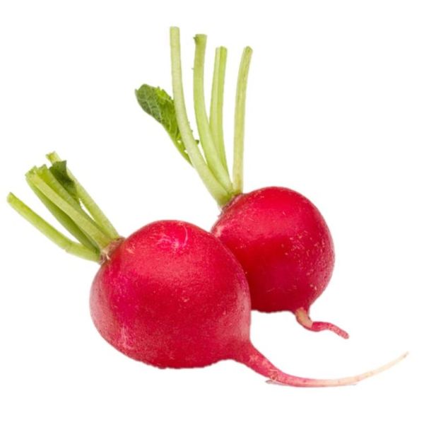 VITA SANA Semences De Radis Cerise