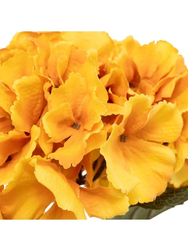 Stelo Di Ortensia Orange 83Cm