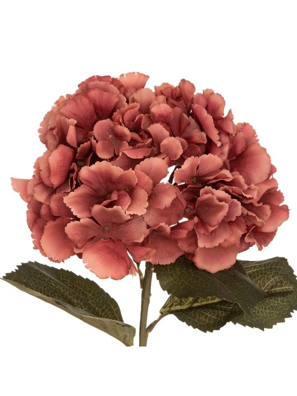 Hortensienstamm Pflaume 83Cm