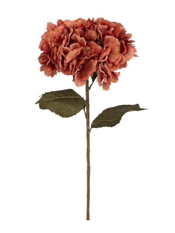 Hortensienstamm Pflaume 83Cm
