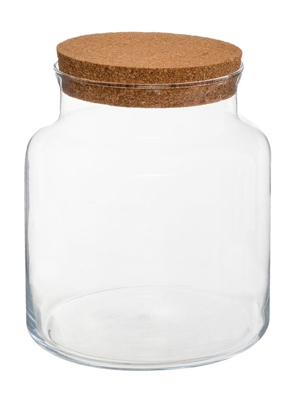  Vaso Per Terrario In Vetro E Sughero 21.5Cm