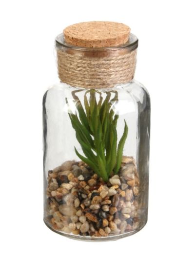 Déco Mini Terrarium Artificiel En Verre 13Cm - Assortis