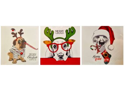 Weihnachts-Grußkarten - Sortiert