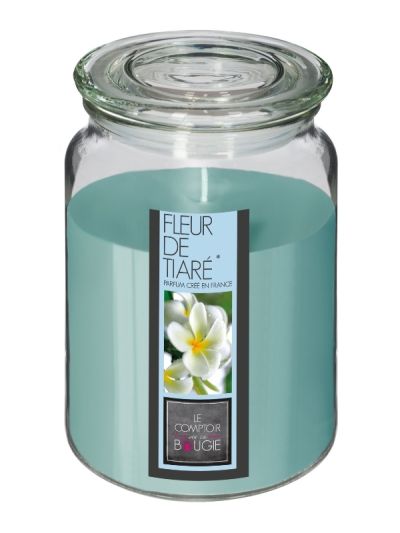 Duftkerze Mit Glasvase Nina Tiaré-Blüten 510G