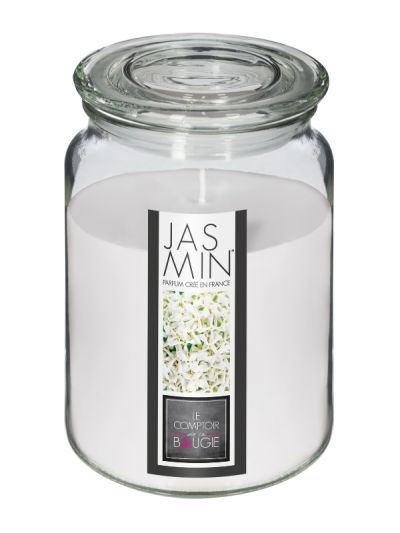 Duftkerze Mit Glasvase Nina Jasmin 510G